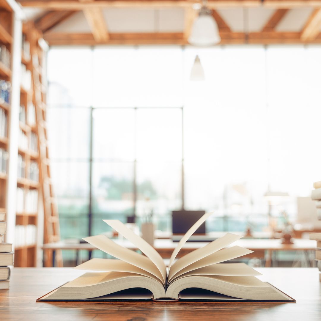 Día del Libro 2025: 10 libros recomendados por nuestras expertas