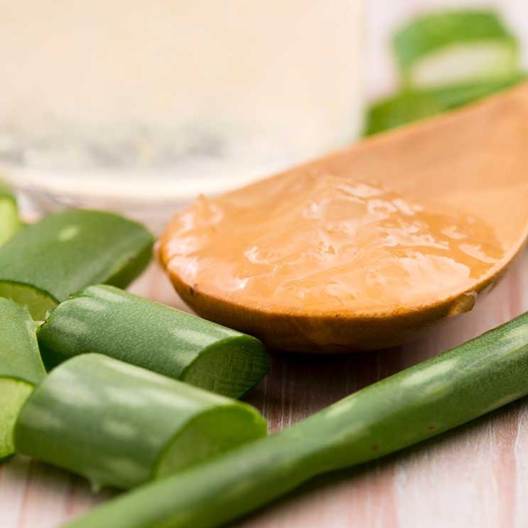 Conoce los múltiples beneficios del aloe vera también en la alimentación