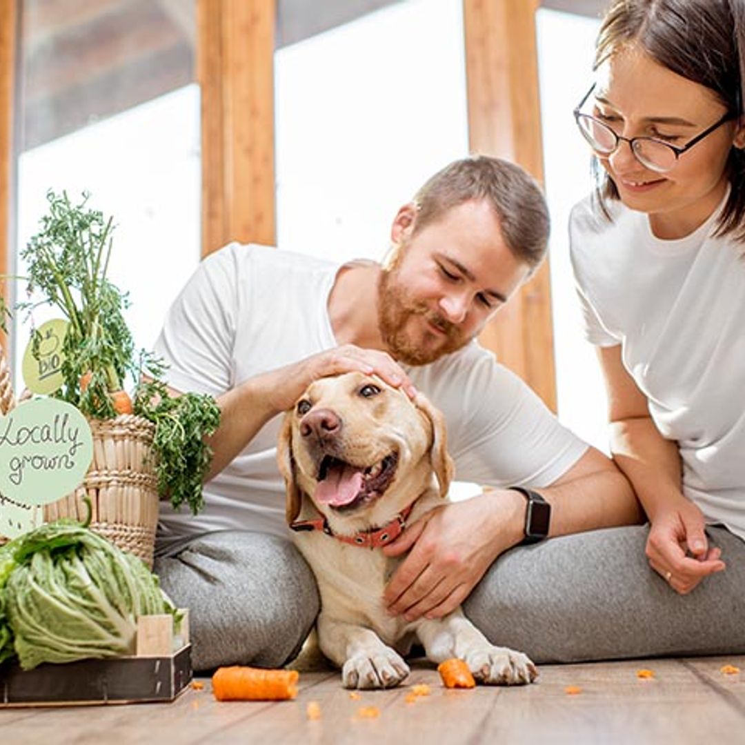 Soy vegana, ¿puede serlo mi perro?