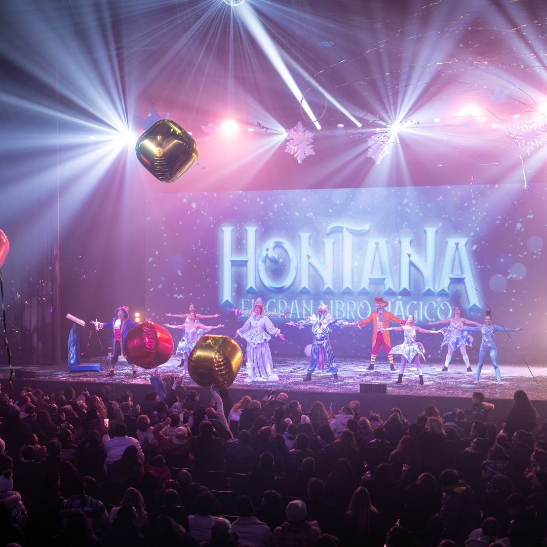 Un auténtico espectáculo navideño, lleno de música y mágica, dónde artistas circenses os impresionaran con sus habilidades.