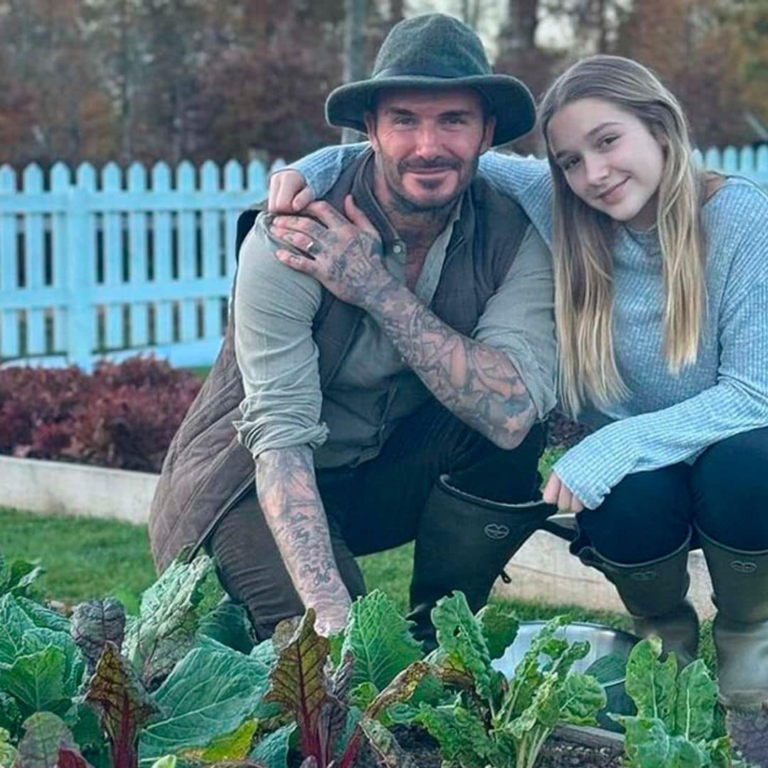Los rincones más desconocidos en la casa de los Beckham: de su panal de abejas al huerto orgánico