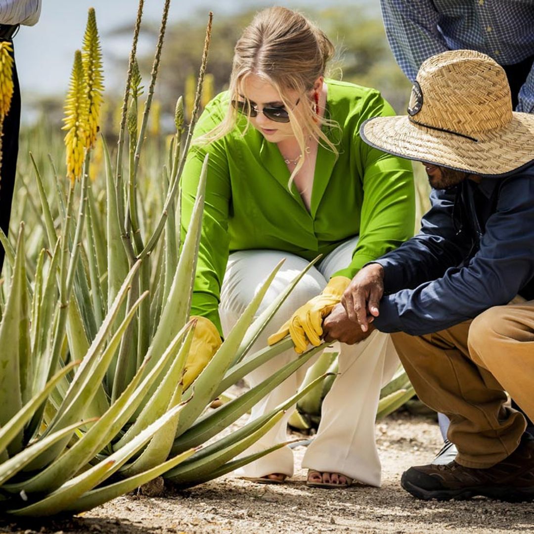 Taller de aloe vera, 'safari' y fútbol: los mejores momentos de la Familia Real holandesa en su último día en Aruba
