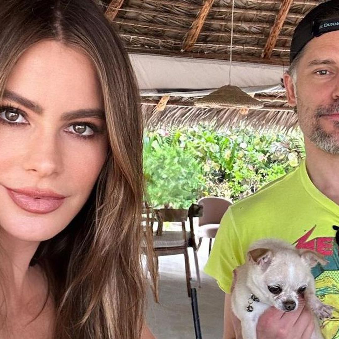 La custodia de ‘Bubbles’, el perro de Sofía Vergara, complica su proceso de divorcio