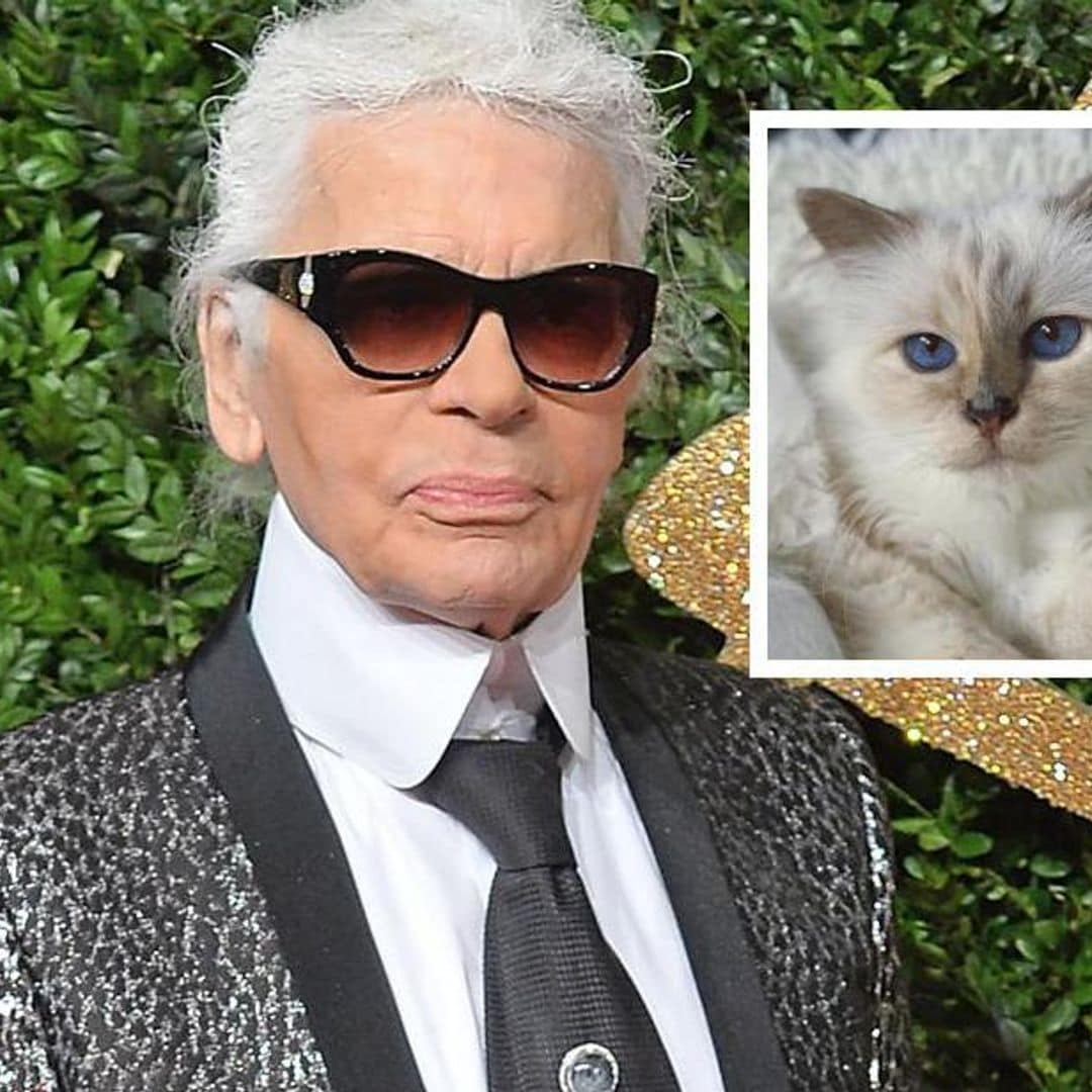 Choupette, la gatita de Karl Lagerfeld, la invitada especial en la Met Gala