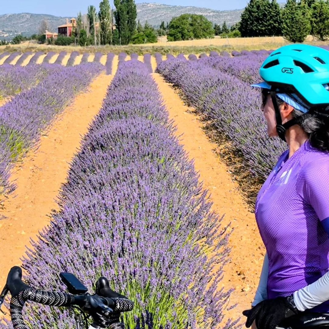 Ciclista en los campos de lavanda de Moratalla, Murcia