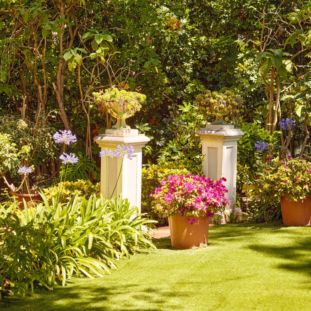 El jardín de la casa de Paula Babiano