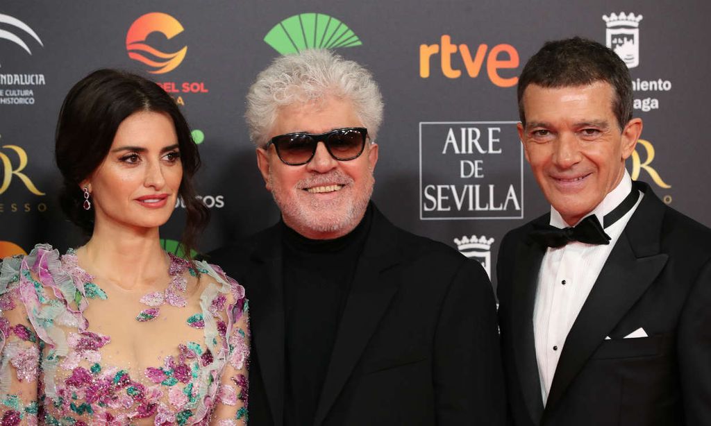 Penélope Cruz y Antonio Banderas protagonizarán una película ¡y no es de Almodovar!