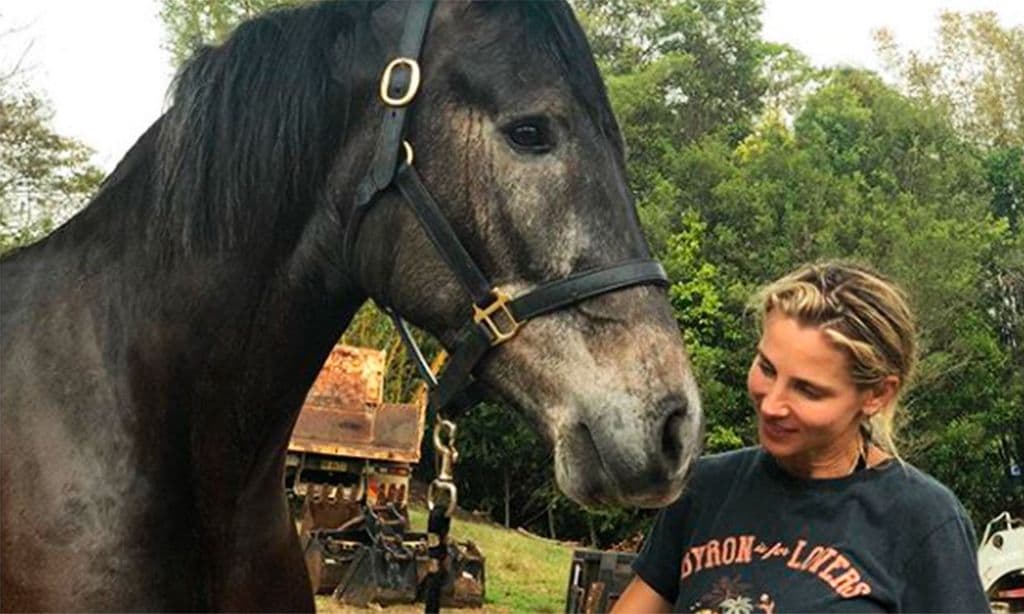 ¡Corre, Elsa, corre! Chris Hemsworth 'demuestra' que su mujer es más rápida que un caballo