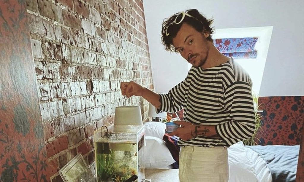 ¡Harry Styles en apuros! El motivo por el que ha dado de comer al pez de una fan