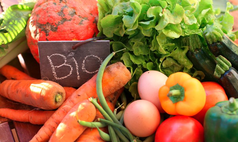 Productos naturales, BIO, ECO y orgánicos: ¿quién es quién?