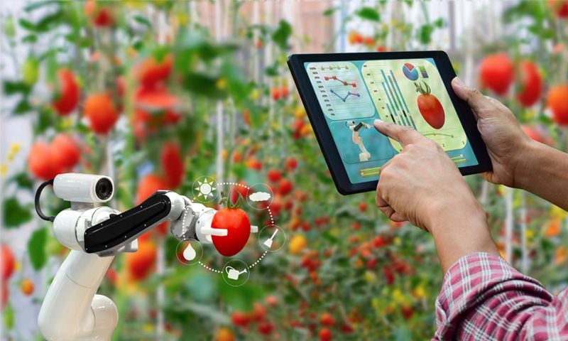 La comida del futuro será personalizada (o no será)