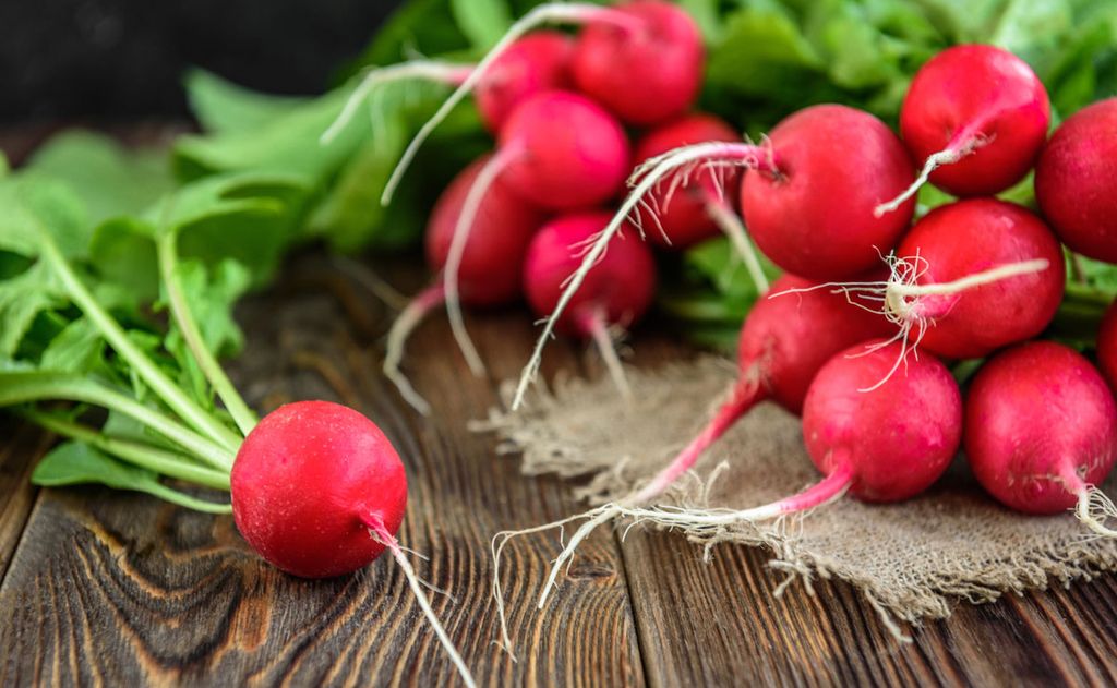 ¡Que no te importe un rábano! 10 sorprendentes recetas con este vegetal