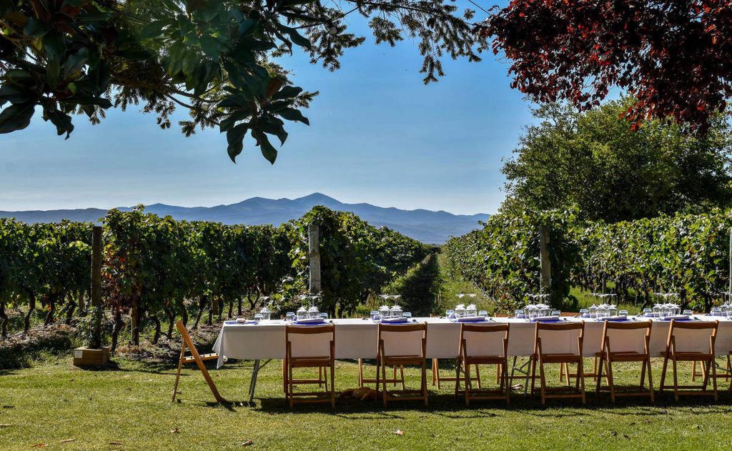 Las bodegas son (también) para el verano