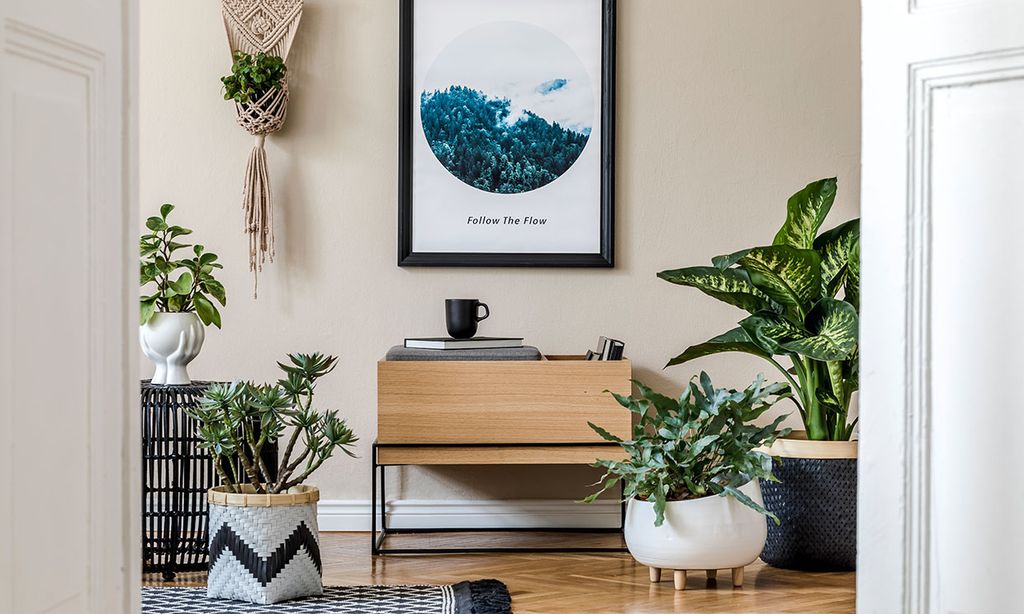Las mejores ideas DIY para exponer tus plantas de interior
