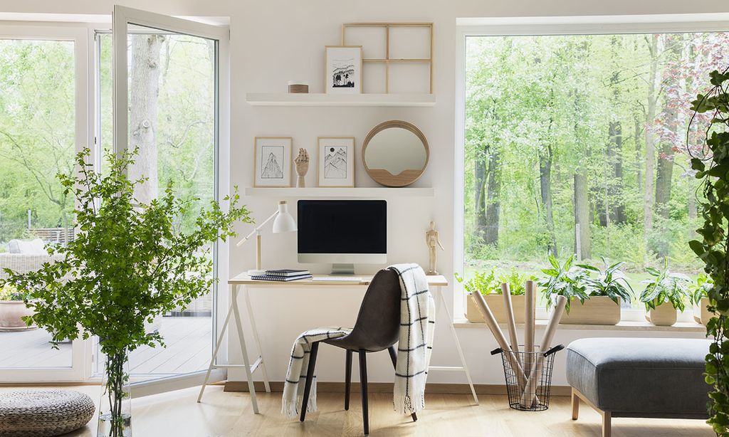 Estas son las mejores plantas de interior para decorar tu espacio de trabajo