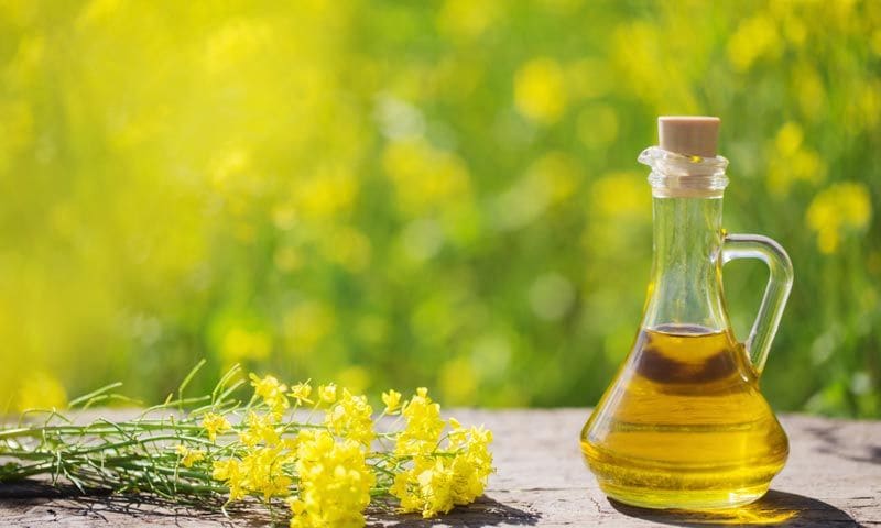 ¿El aceite de colza es tan perjudicial como dicen?