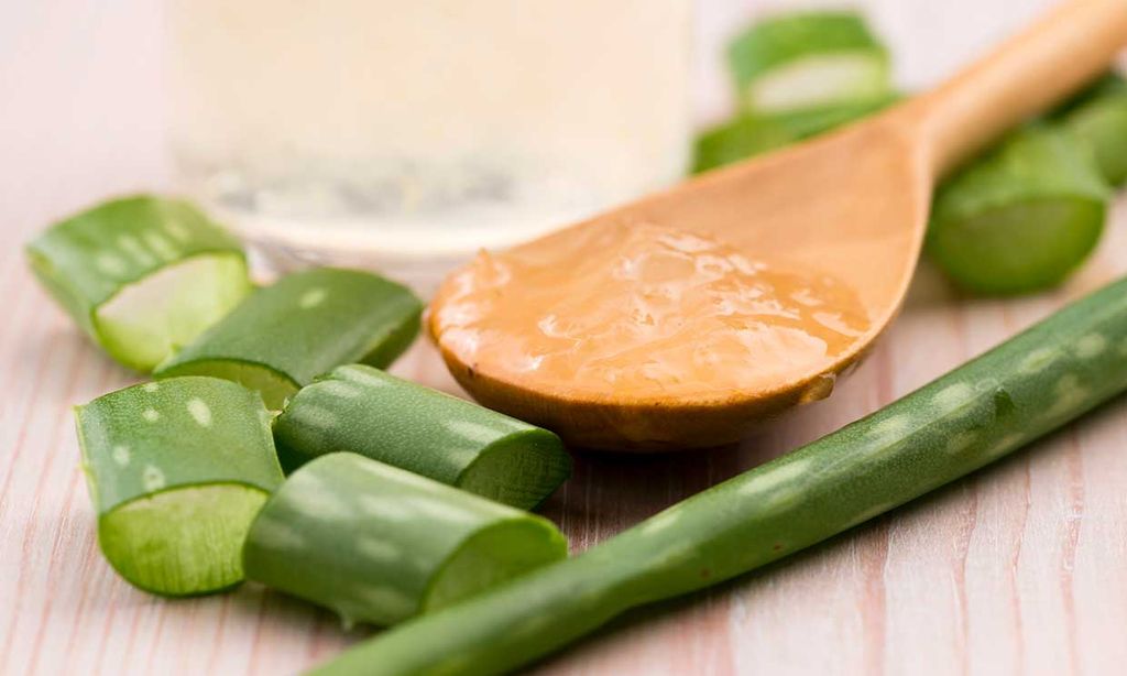 Conoce los múltiples beneficios del aloe vera también en la alimentación