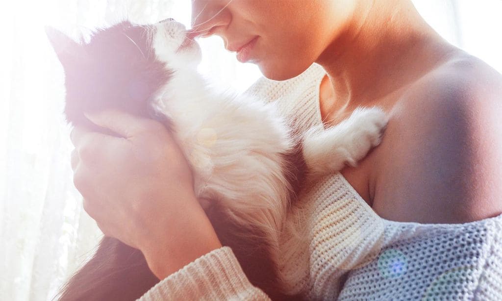 Mi gato no para de lamerme, ¿me quiere o pretende marcarme?