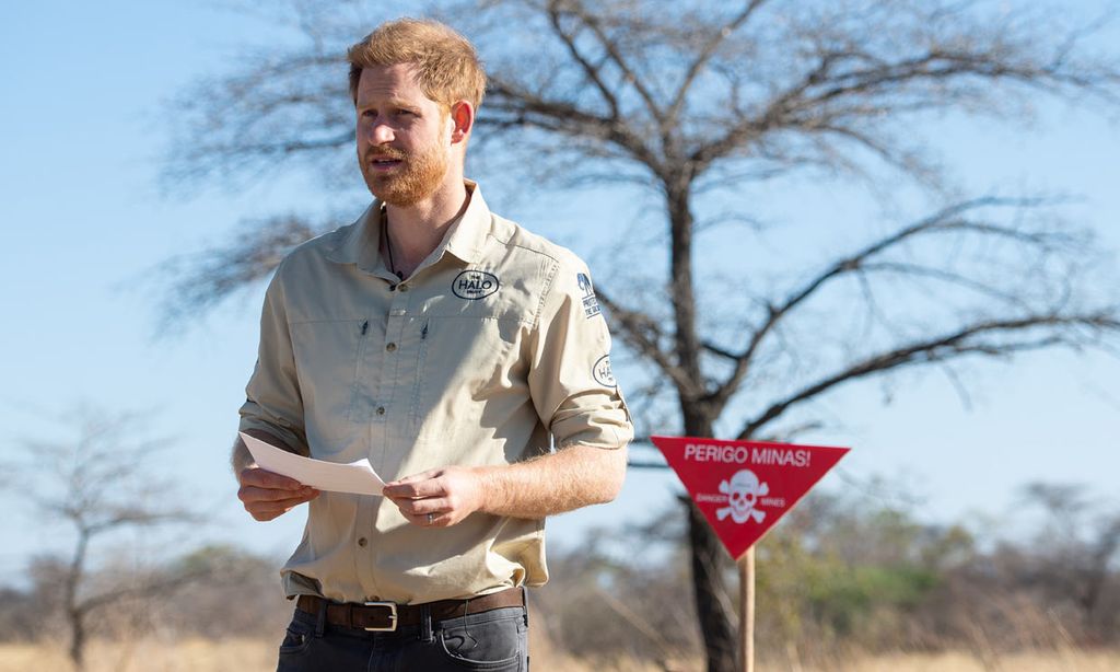 El príncipe Harry elogia a una de las causas que más interesaban a su madre