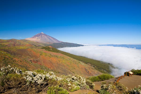 Teide, Tenerife