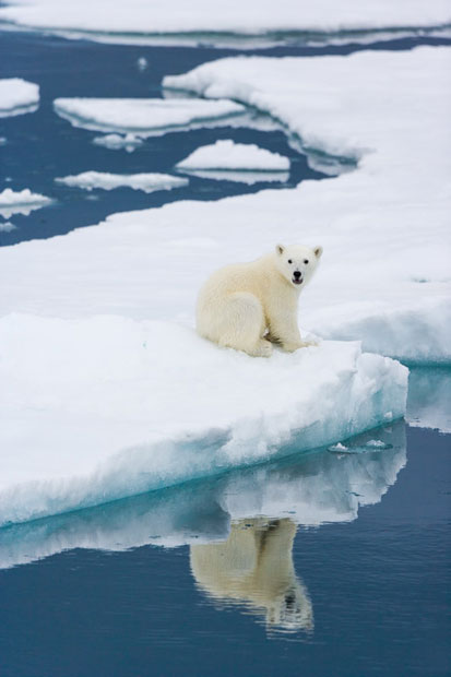 Svalbard