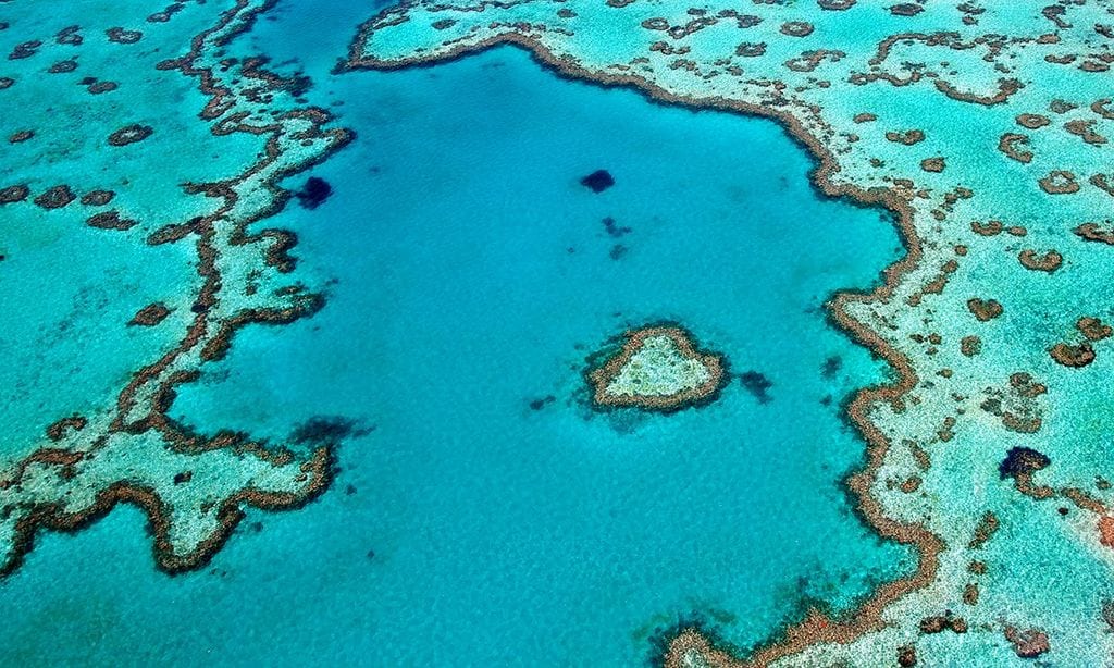 Gran Barrera de Coral, el mayor ecosistema vivo del mundo
