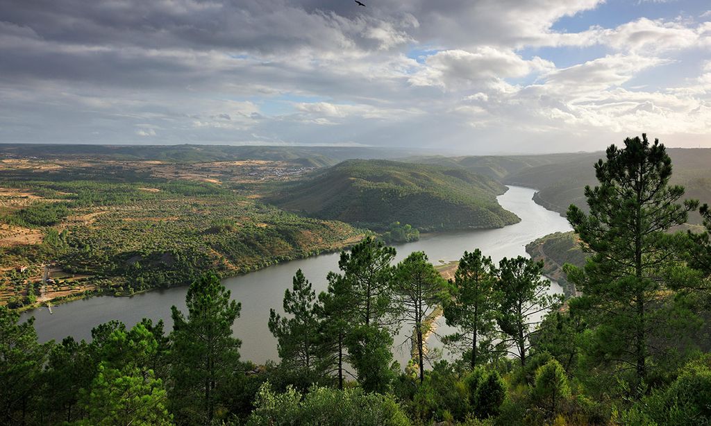 Tajo-Tejo, el parque natural transfronterizo que comparten España y Portugal