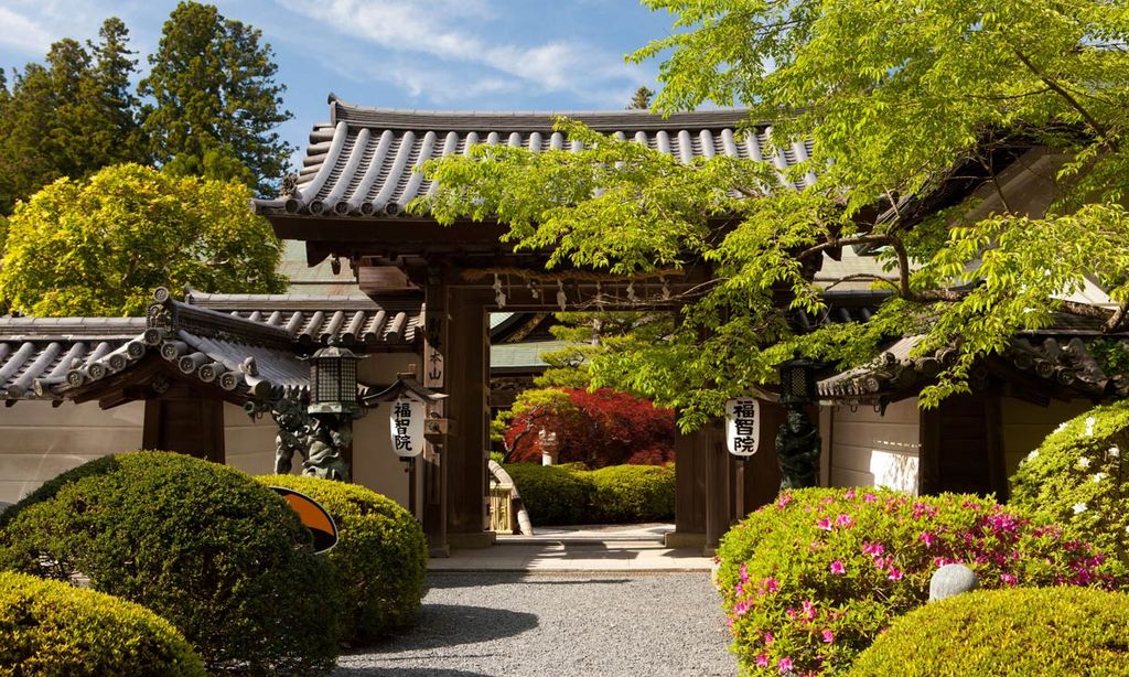Qué ver y hacer en Japón que no vas a olvidar nunca - Foto 1 Qué ver y hacer en Japón que no vas a olvidar nunca - Foto 1