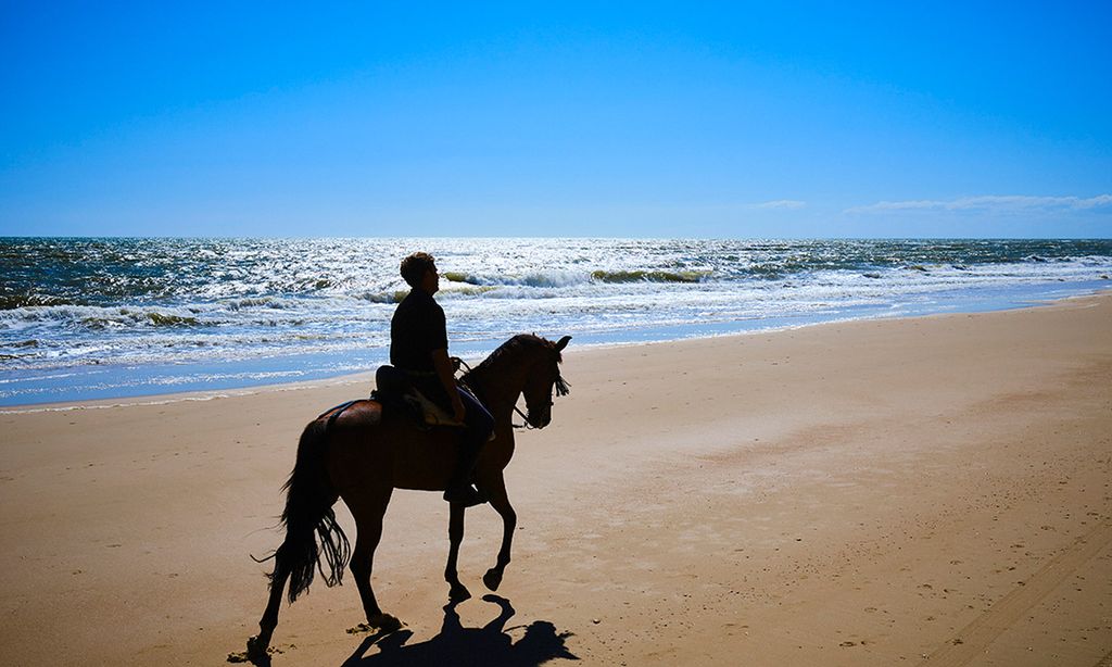 Paseos a caballo por la playa, amanecer entre la fauna y mil experiencias más en Doñana