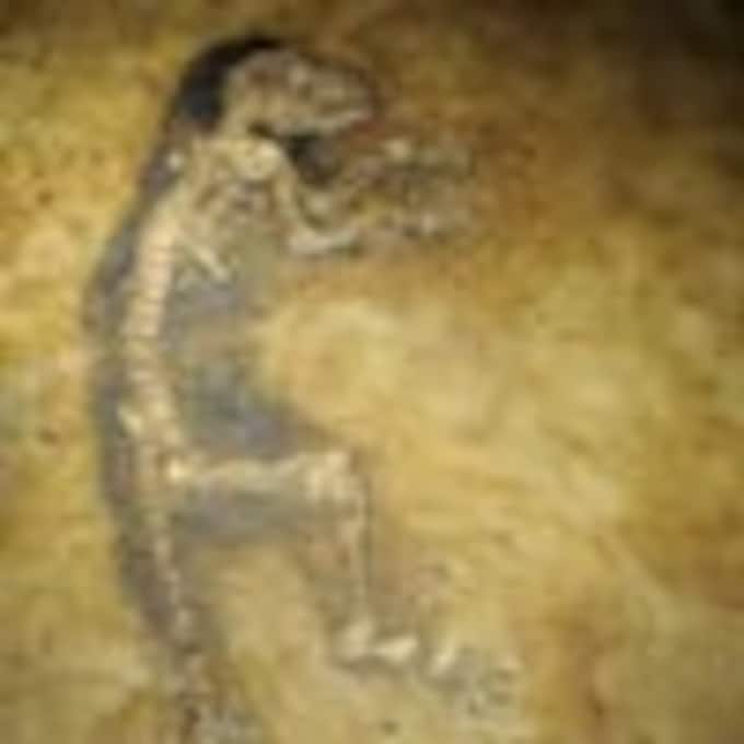 Descubren el antepasado humano más primitivo de la historia