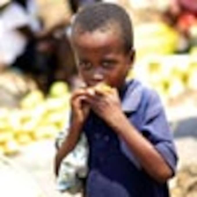 Mil millones de personas pasarán hambre este año en el mundo