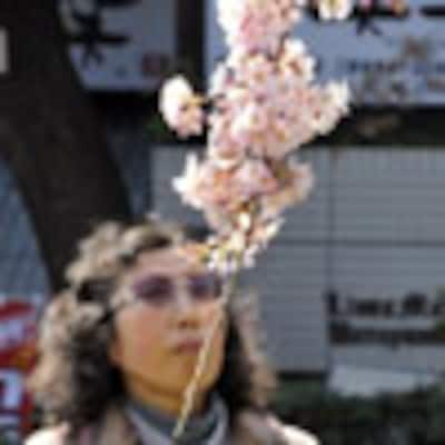Los cerezos en flor aportan un 'rayo de esperanza' a los japoneses