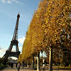 La Torre Eiffel se vestirá de verde como símbolo ecológico
