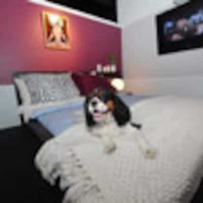 Un hotel de lujo para perros en Nueva York
