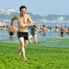 La increíble 'playa verde' de China