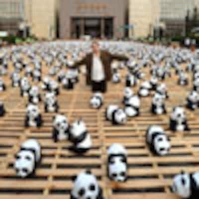 Cientos de pandas invaden Taipéi