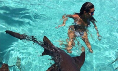 El arriesgado baño de Ana Boyer entre tiburones