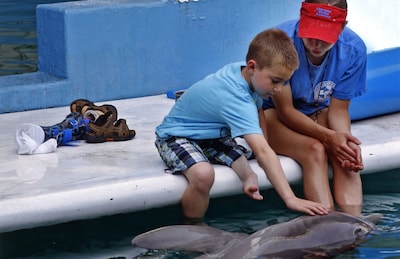 Un delfín sin cola enseña a nadar a un niño sin piernas