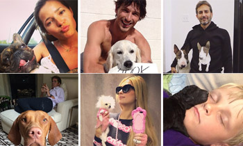 Pistacho, Neville o Harry, ellos son algunos de los ‘celebpets’ con más tirón 