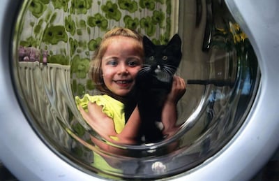 Una gatita sobrevive a un lavado y centrifugado