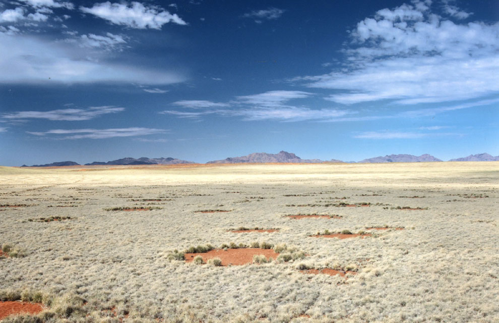 Los misteriosos círculos del desierto de Namibia