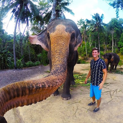 Un elefante se hace su propio 'selfie'