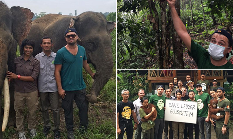 El viaje más intrépido de Leonardo DiCaprio entre orangutanes y elefantes