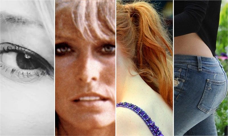 ¿Imperfecciones humanas?: la perfección de la Naturaleza
