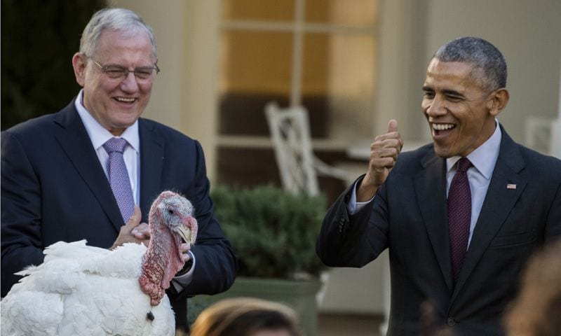 Las divertidas imágenes del último indulto de Obama al pavo de Acción de Gracias como presidente