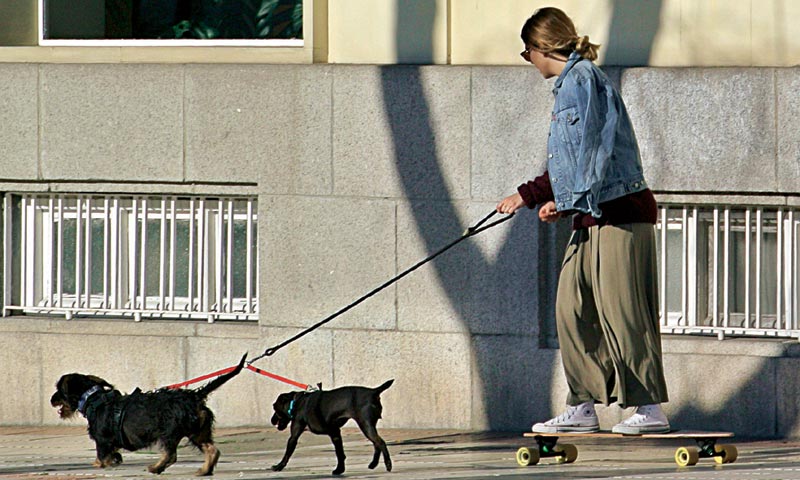 Blanca Suárez paseando en monopatín con los perros