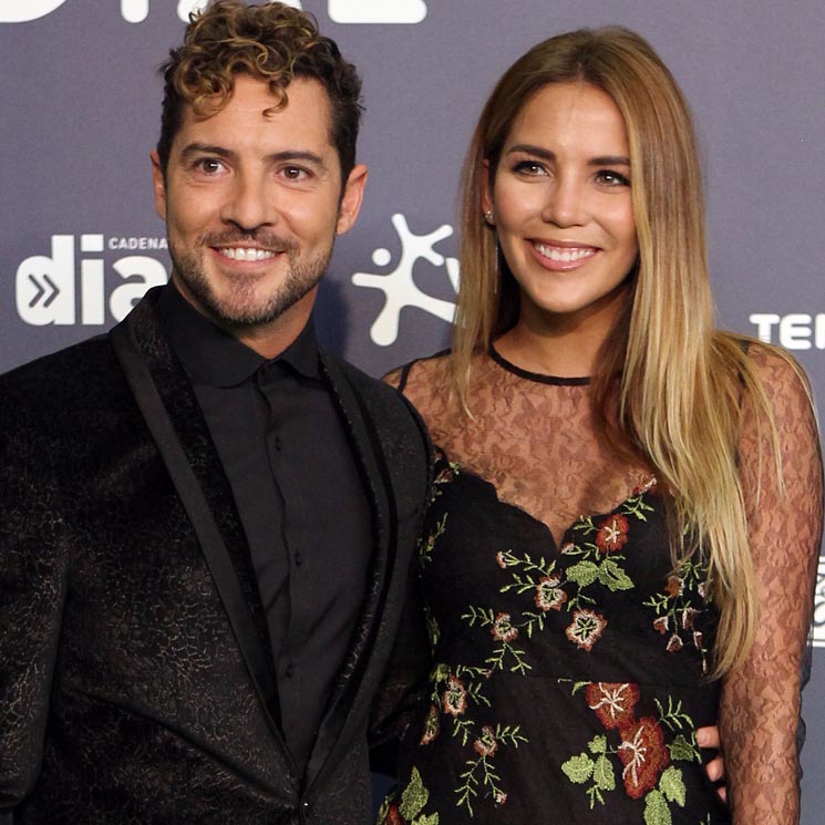 David Bisbal y Rosanna Zanetti ya son pareja de hecho ¿Qué implica esta unión?