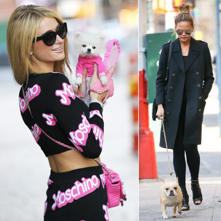 Ellas marcan estilo... ¡hasta paseando a sus mascotas!