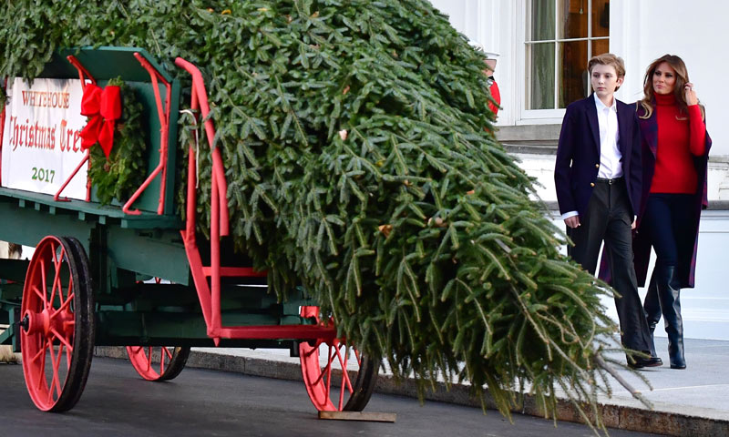 Después de ocho años con Michelle Obama... Melania Trump y su hijo reciben por primera vez el árbol de Navidad