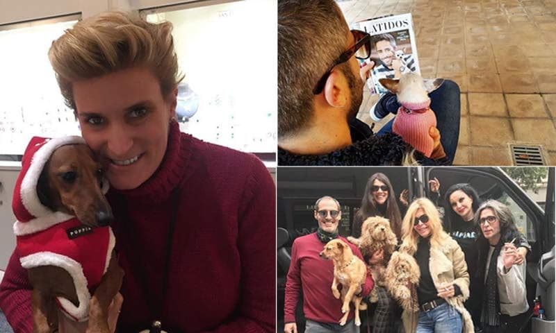 Las mascotas de las 'celebrities', las otras protagonistas de Instagram